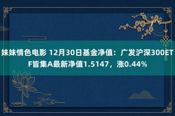妹妹情色电影 12月30日基金净值：广发沪深300ETF皆集A最新净值1.5147，涨0.44%