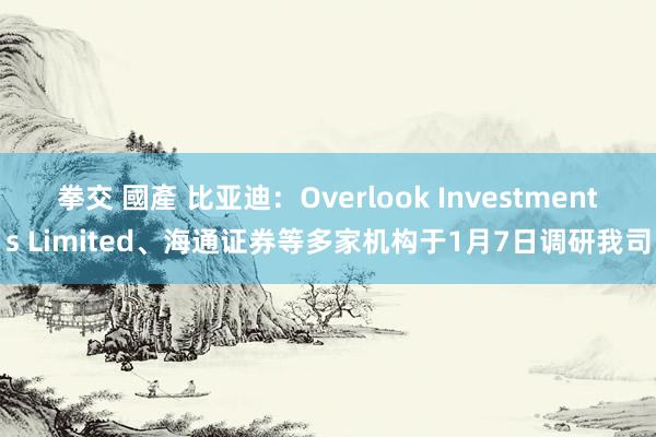 拳交 國產 比亚迪：Overlook Investments Limited、海通证券等多家机构于1月7日调研我司