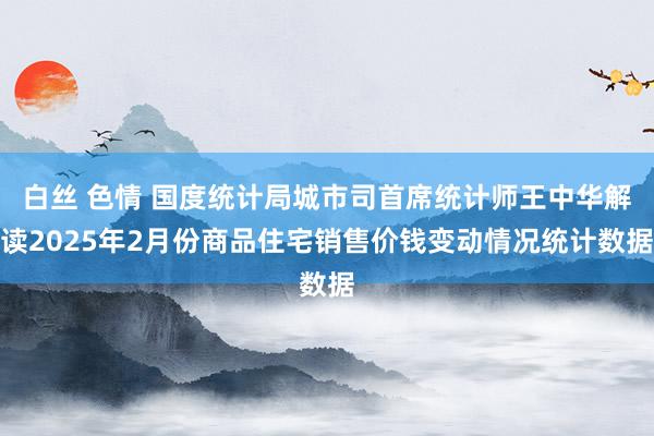 白丝 色情 国度统计局城市司首席统计师王中华解读2025年2月份商品住宅销售价钱变动情况统计数据