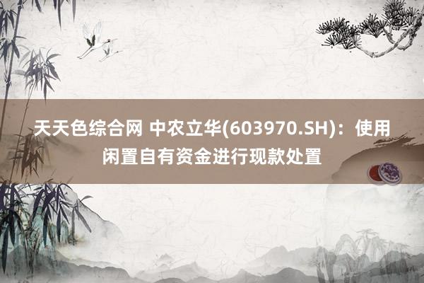 天天色综合网 中农立华(603970.SH)：使用闲置自有资金进行现款处置