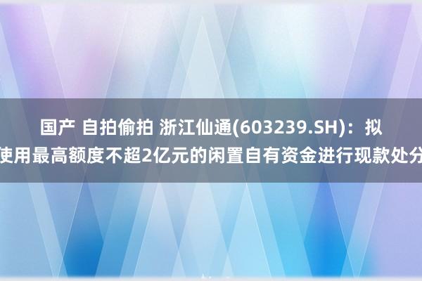 国产 自拍偷拍 浙江仙通(603239.SH)：拟使用最高额度不超2亿元的闲置自有资金进行现款处分