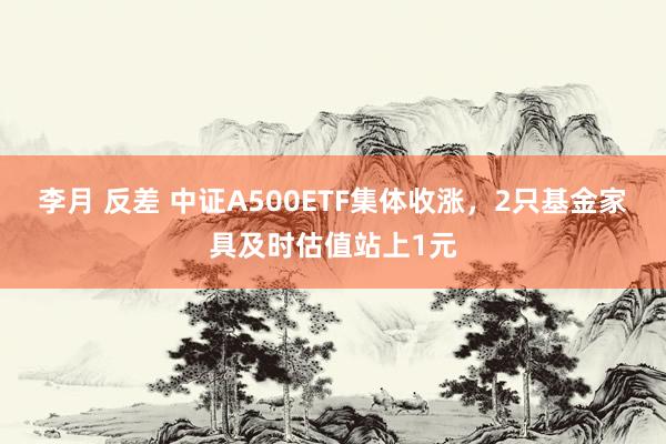 李月 反差 中证A500ETF集体收涨，2只基金家具及时估值站上1元